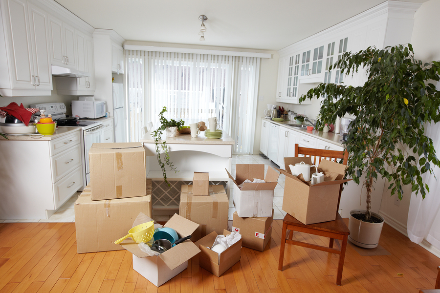 Apartment Movers Louth
